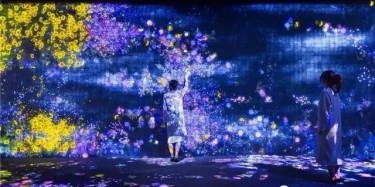 teamLab——風(fēng)靡全球的沉浸式網(wǎng)紅展項(xiàng)體驗(yàn)！