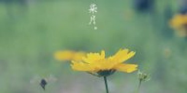 2016年7月廣州展覽會時(shí)間排期表